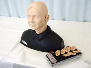 耳の侵奪シミュレータ EAR II