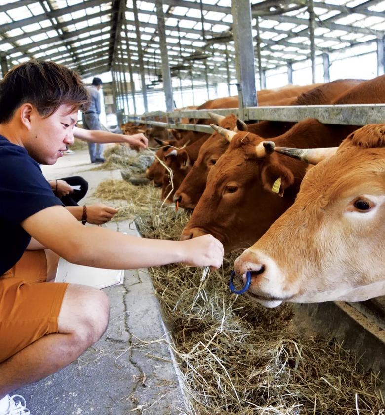 主体性を育てる学びのプログラム